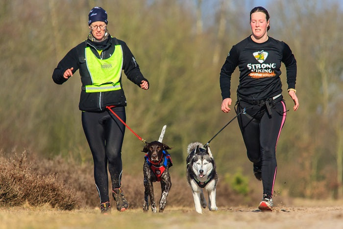 Hacer deporte con el perro... ¿Es saludable?