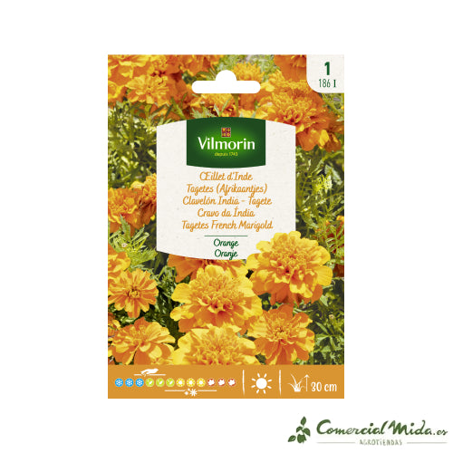 Sobre Semillas VILMORIN Clavelón India Naranja