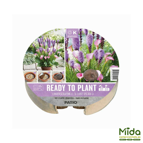 Bulbos Listos para Plantar de Calas Zantedeschia Pink y Flores Liatris Spicata