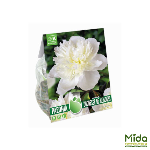 Bolsa de Bulbos Kapiteyn PEONIA DUCHESSE DE NEMOURS