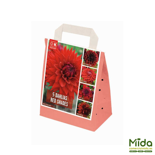 Bolsa de Bulbos Kapiteyn Combinados de DAHLIAS Rojas