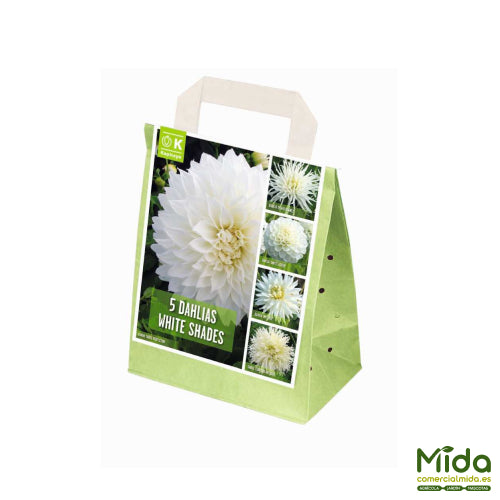 Bolsa de Bulbos Kapiteyn Combinados de DAHLIAS Blancas