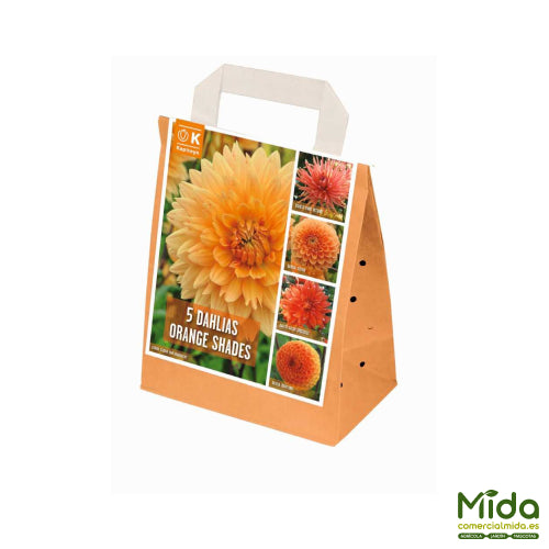 Bolsa de Bulbos Kapiteyn Combinados de DAHLIAS Naranjas