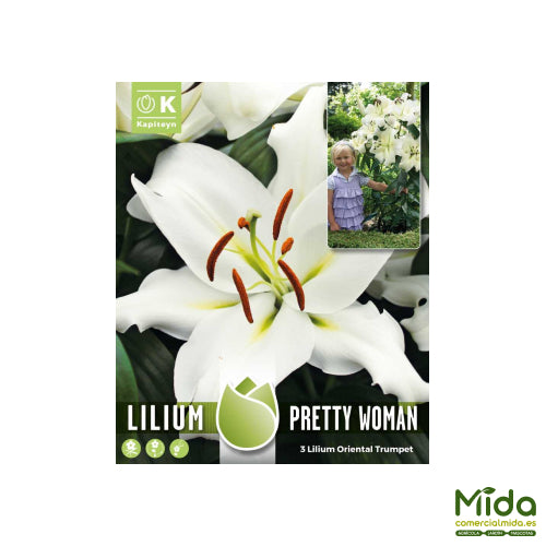 Kapiteyn Bulbos de LIRIOS PRETTY WOMAN ALTO Y VASTO CON FRAGANTE FLORACIÓN