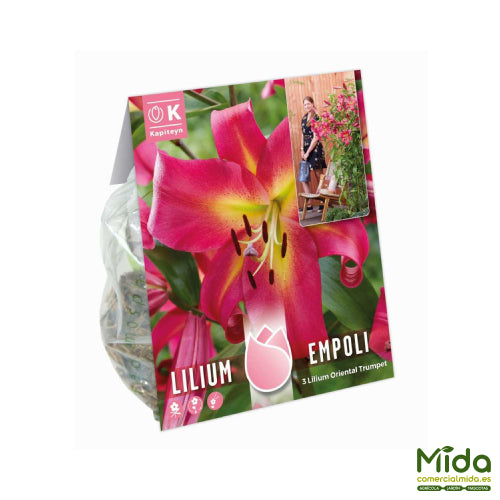 Bolsa de Bulbos de LIRIO EMPOLI de tallos vastos y flores aomáticas
