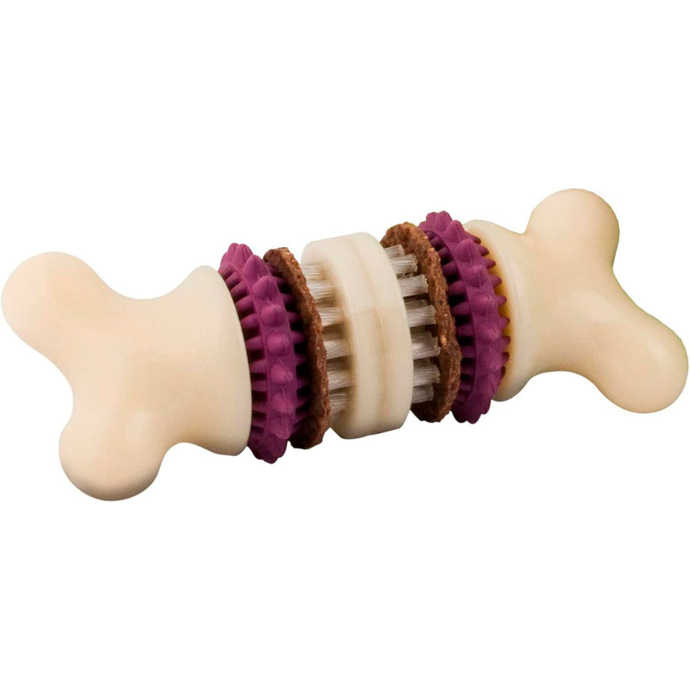 petsafe-huesi-busy-buddy-bristle-bone-medium