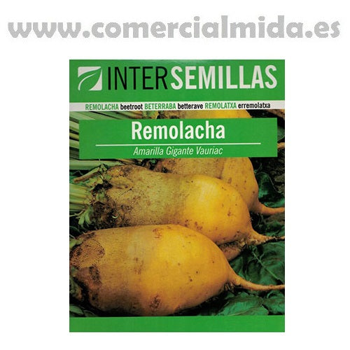 Semillas de REMOLACHA FORRAJERA AMARILLA Intersemillas 250g