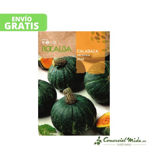 Rocalba Semillas de Calabaza Delica