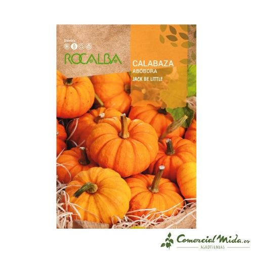 ROCALBA SEMILLA CALABAZA JACK BE LITTLE 100gr