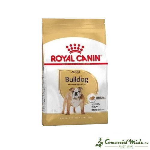 ROYAL CANIN BULLDOG ADULT