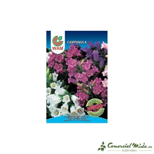 Semillas de Campanula 0,5 gr de Wam