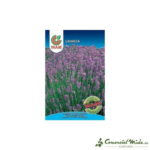 Semillas de lavanda 0,5 gr de Wam